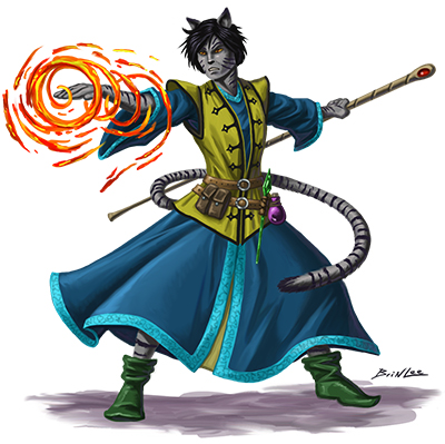 cat guy mage color
